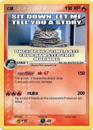 Pokemon cat