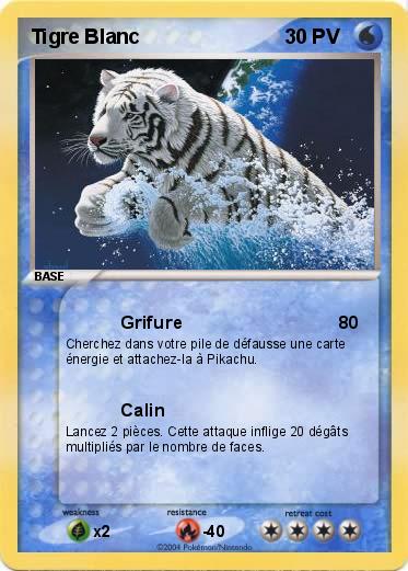 Pokemon Tigre Blanc