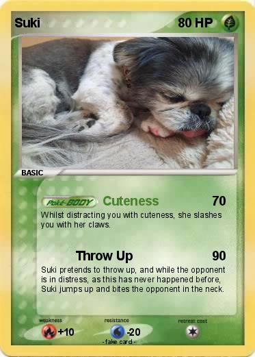 Pokemon Suki