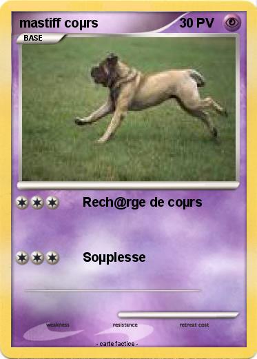 Pokemon mastiff coµrs