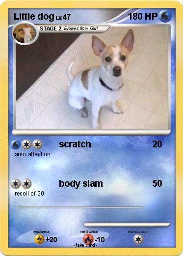 Pokemon Little dog