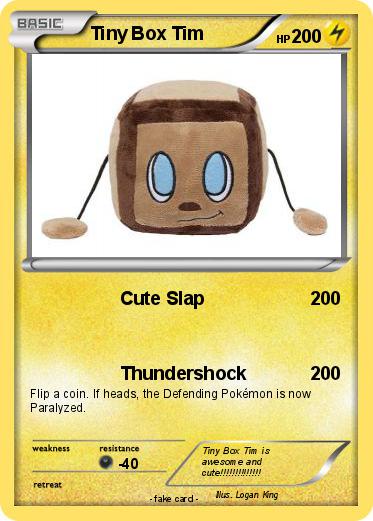 Pokemon Tiny Box Tim