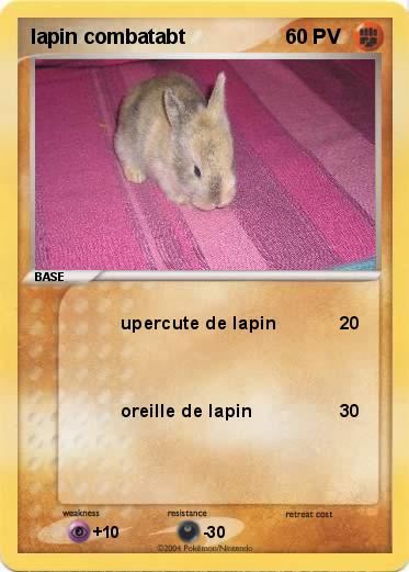 Pokemon lapin combatabt