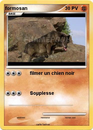 Pokemon formosan