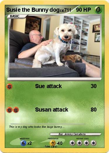 Pokemon Susie the Bunny dog