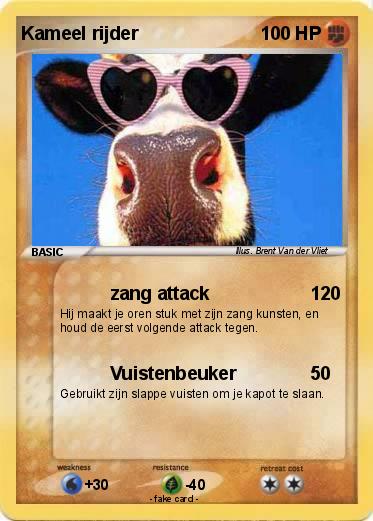 Pokemon Kameel rijder