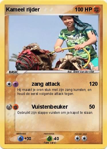 Pokemon Kameel rijder