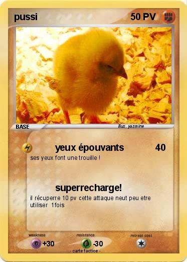 Pokemon pussi