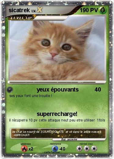 Pokemon sicatrek
