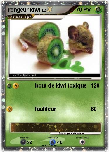 Pokemon rongeur kiwi