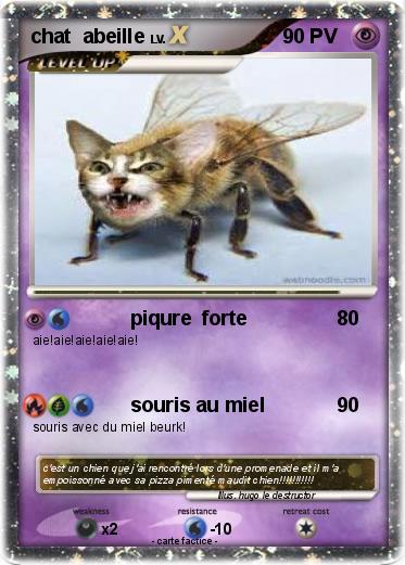 Pokemon chat  abeille