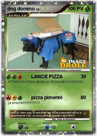 Pokemon dog domino