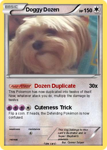 Pokemon Doggy Dozen
