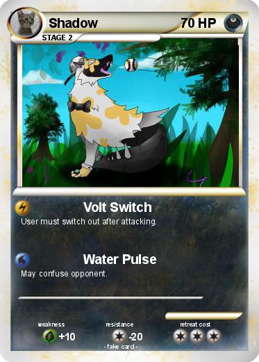 Pokemon Shadow