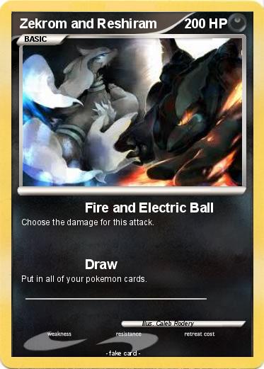 Pokemon Zekrom and Reshiram