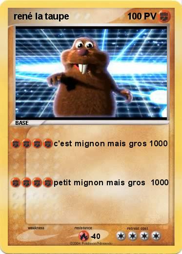 Pokemon rené la taupe                                            