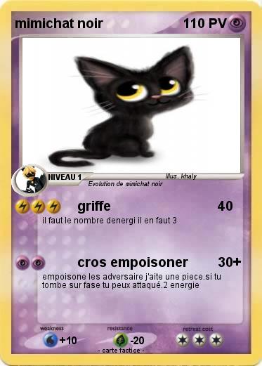 Pokemon mimichat noir