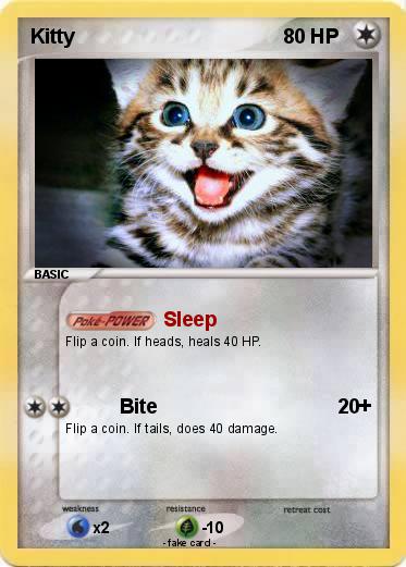 Pokemon Kitty