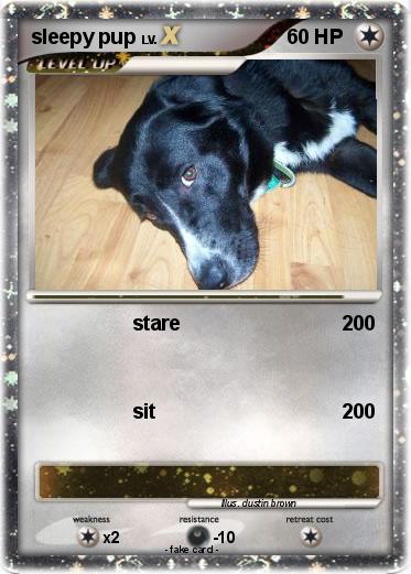Pokemon sleepy pup