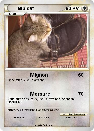 Pokemon Bibicat