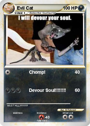 Pokemon Evil Cat