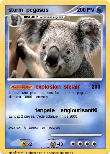 Pokemon storm  pegasus