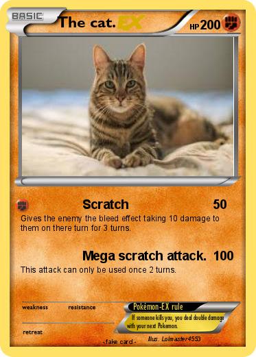 Pokemon The cat.