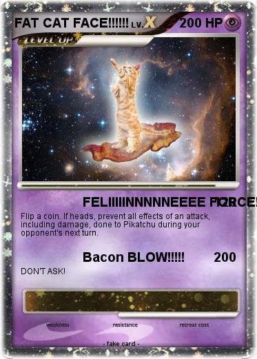 Pokemon FAT CAT FACE!!!!!!