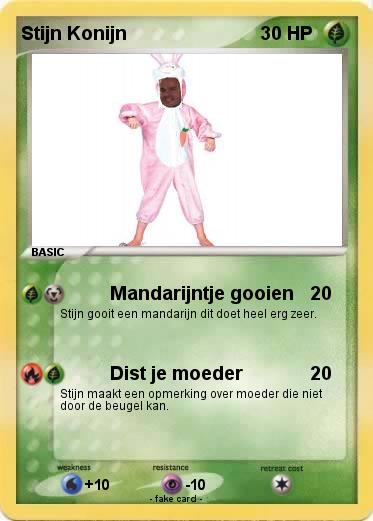 Pokemon Stijn Konijn
