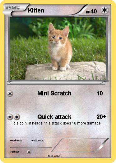 Pokemon Kitten