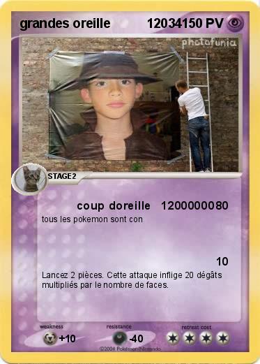 Pokemon grandes oreille          12034