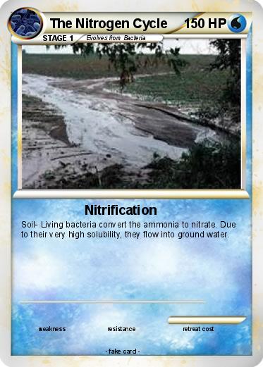 Pokemon The Nitrogen Cycle