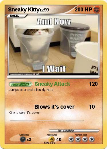 Pokemon Sneaky Kitty