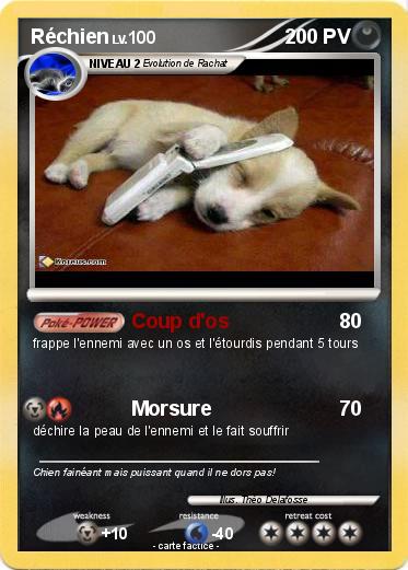 Pokemon Réchien