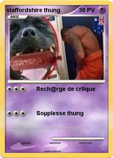 Pokemon staffordshire thung