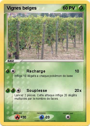 Pokemon Vignes belges