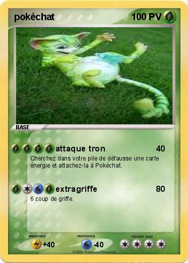 Pokemon pokéchat