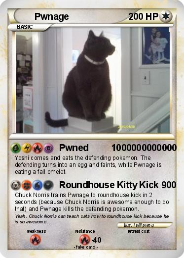Pokemon Pwnage