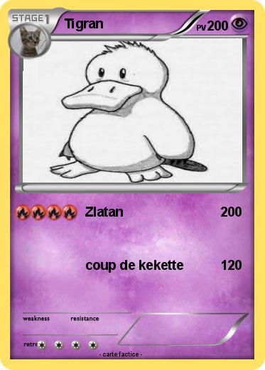 Pokemon Tigran