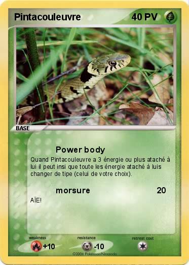 Pokemon Pintacouleuvre