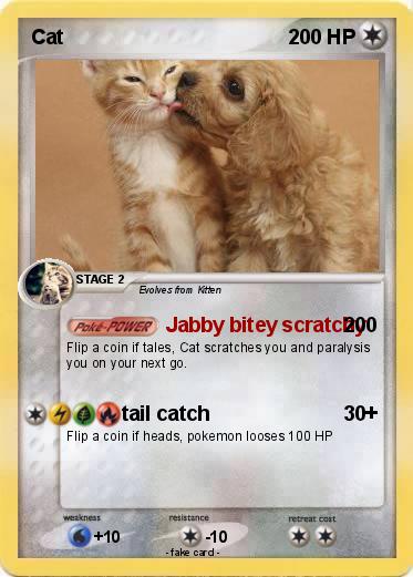 Pokemon Cat