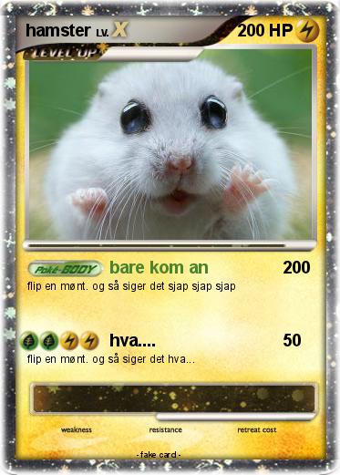 Pokemon hamster