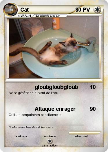 Pokemon Cat