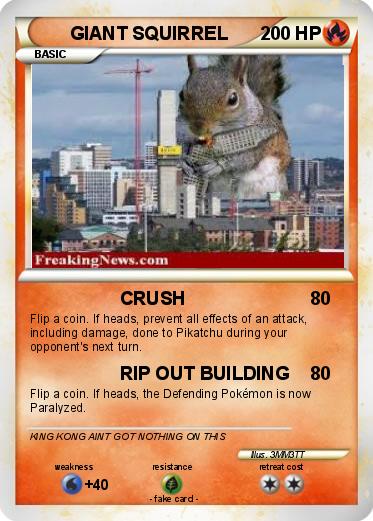 Pokemon GIANT SQUIRREL