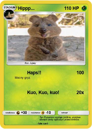 Pokemon Hippp...