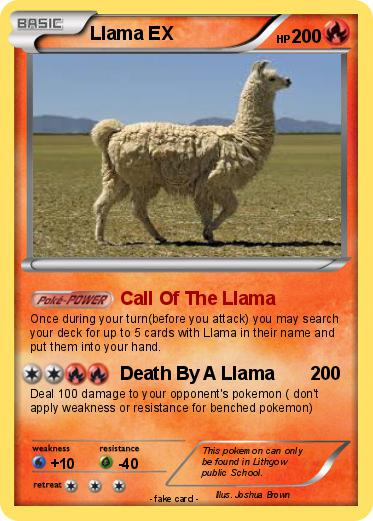 Pokemon Llama EX