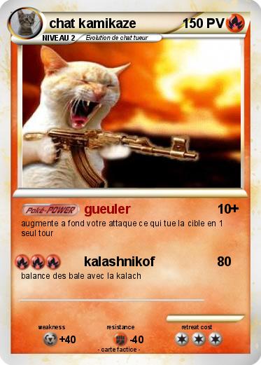 Pokemon chat kamikaze