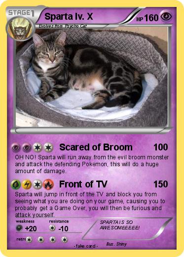 Pokemon Sparta lv. X