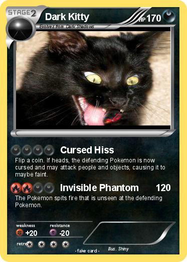 Pokemon Dark Kitty