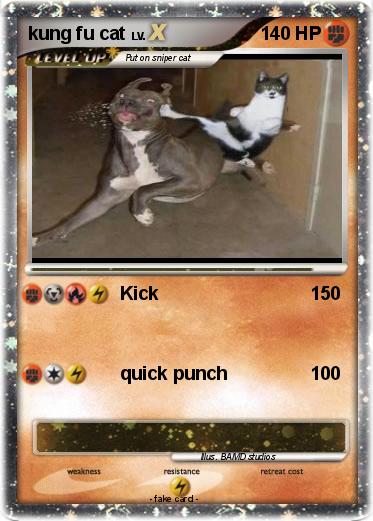 Pokemon kung fu cat